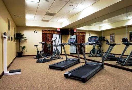 фото отеля Holiday Inn Express & Suites DFW Airport South Hotel