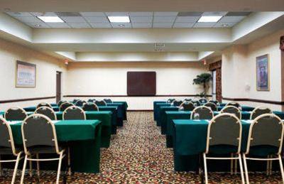 фото отеля Holiday Inn Express & Suites DFW Airport South Hotel