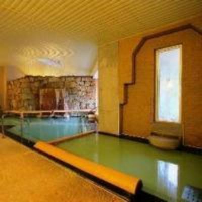 фото отеля Nozawa Grand Hotel