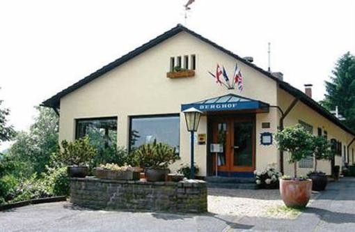 фото отеля Hotel-Restaurant Berghof Johannesberg