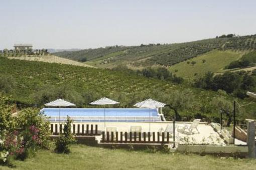 фото отеля Agriturismo Terre D'Ulivi