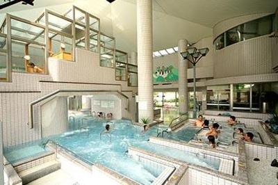фото отеля Hotel Hanasarasa