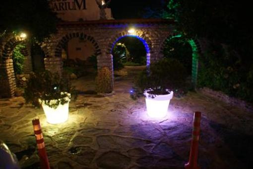 фото отеля Club Aquarium Hotel