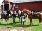 фото отеля Olstorp gard Bed & Breakfast