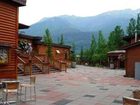 фото отеля McKinley Chalet Resort