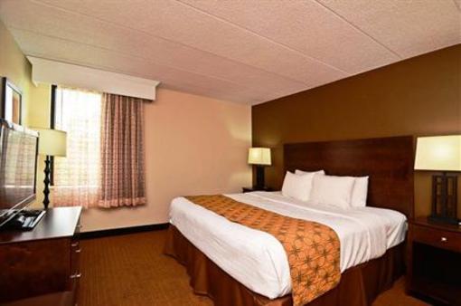 фото отеля Best Western Plus Arbour Inn & Suites