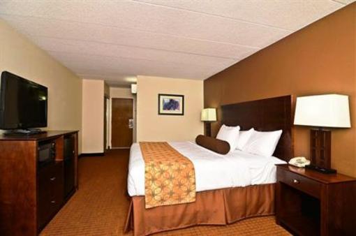 фото отеля Best Western Plus Arbour Inn & Suites