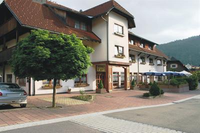 фото отеля Hotel Schwarzwälderhof Todtmoos