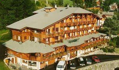 фото отеля Hotel Le Dahu