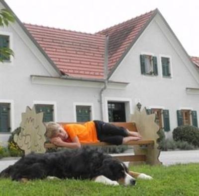 фото отеля Dorfhof Bauer