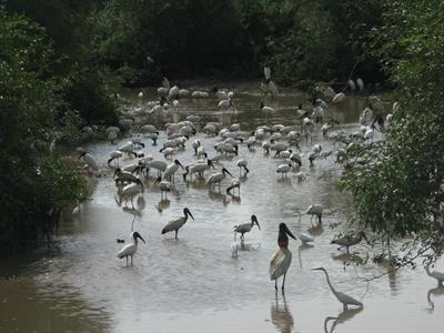 фото отеля Flotel Reina de Enin