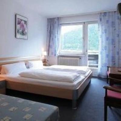 фото отеля Alpenhotel Oetz