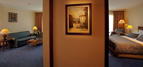 фото отеля IC Hotel Airport