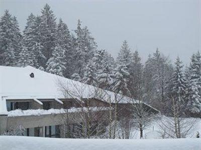 фото отеля Sandton Resort Bayerischer Wald