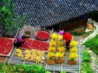фото отеля Leader Guest House Longji Branch