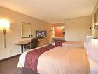 фото отеля Red Roof Inn Orlando Convention Center