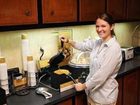 фото отеля Hampton Inn and Suites Memphis - Wolfchase Galleria