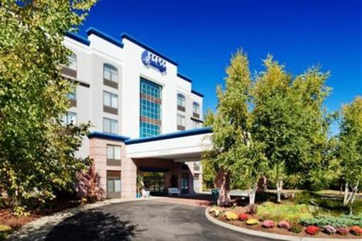 фото отеля Hotel Indigo Albany Latham