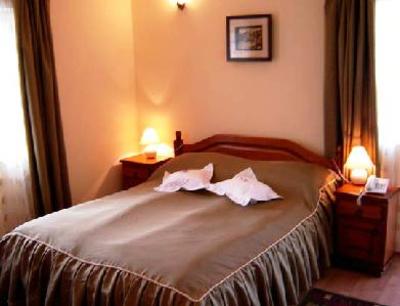 фото отеля Hotel Cosmos Campulung Moldovenesc