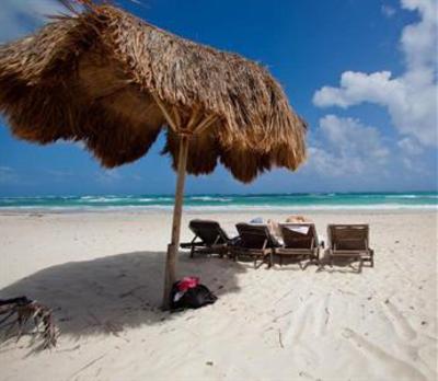 фото отеля La Zebra Hotel, Tulum