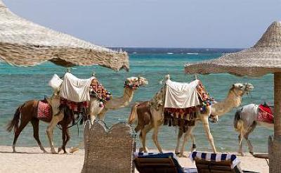 фото отеля Sentido Oriental Dream Resort