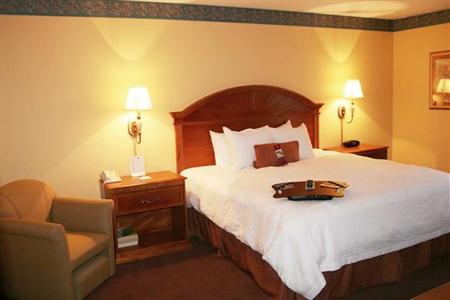 фото отеля Hampton Inn Orlando - Florida Mall