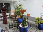 фото отеля Chalet Agnes