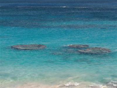 фото отеля Coco Reef Resort Bermuda