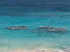фото отеля Coco Reef Resort Bermuda