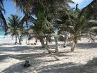 фото отеля Los Lirios Cabanas Hotel Tulum