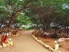 фото отеля The Beach At Mandavi Palace
