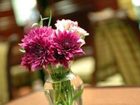 фото отеля Hampton Inn and Suites Dallas - DFW Airport North / Grapevine