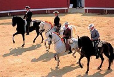 фото отеля Royal Hotel Aigues-Mortes