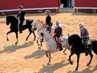 Royal Hotel Aigues-Mortes