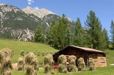 фото отеля Pension Frankenhof