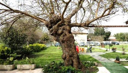 фото отеля Bed and Breakfast Le Torri