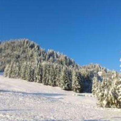 фото отеля Gasthof Pension Fugger "Zum Portugiesen"