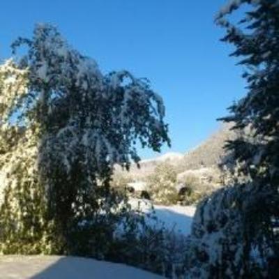 фото отеля Gasthof Pension Fugger "Zum Portugiesen"