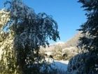 фото отеля Gasthof Pension Fugger "Zum Portugiesen"