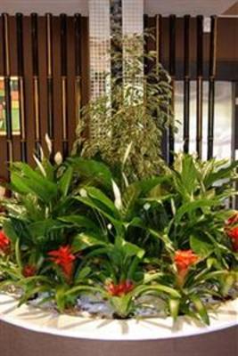 фото отеля Hotel Bahia Villeneuve-Loubet