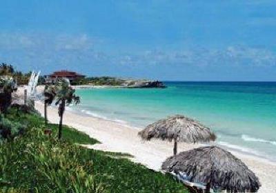фото отеля Melia Cayo Coco