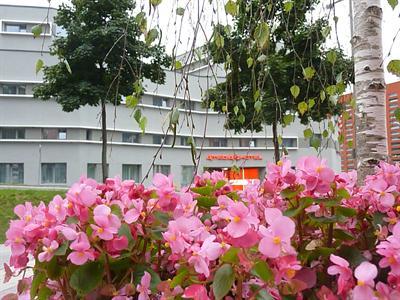 фото отеля Amedia Hotel