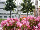 фото отеля Amedia Hotel