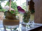 фото отеля Logis Du Cavier