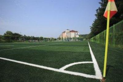 фото отеля Daemyung Resort Yangpyung