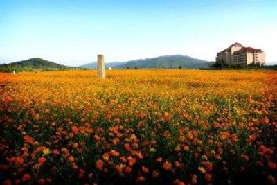 фото отеля Daemyung Resort Yangpyung