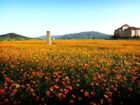 фото отеля Daemyung Resort Yangpyung