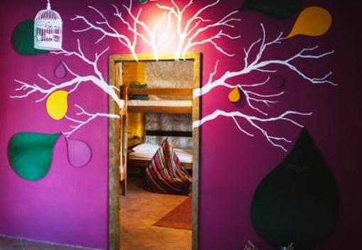 фото отеля The Wild Fig Hostel