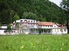 фото отеля Gesundheits Therme Wildbad