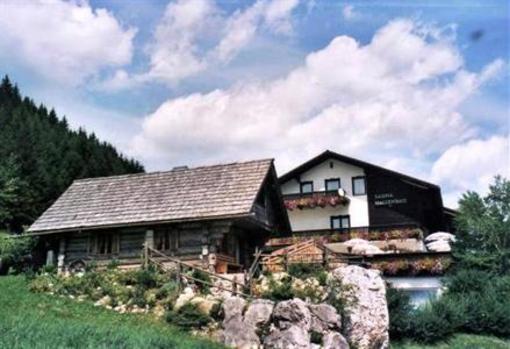 фото отеля Alpenhotel Ensmann